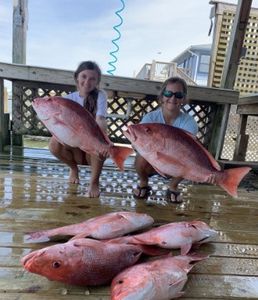 Red Snapper Species from Dauphin Island